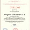 05dsm-5